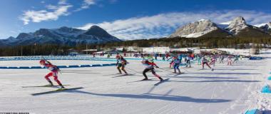 明星资源对接服务